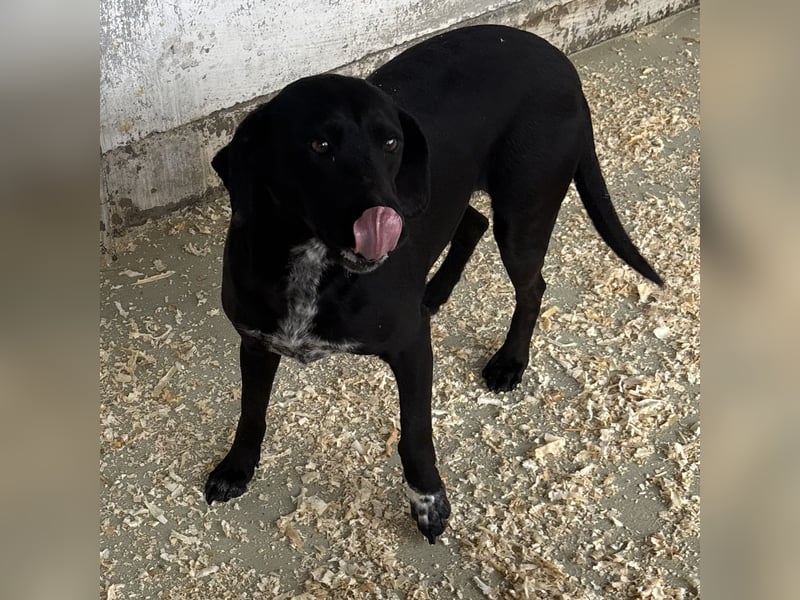 SOILA SUCHT RUHIGES ZUHAUSE