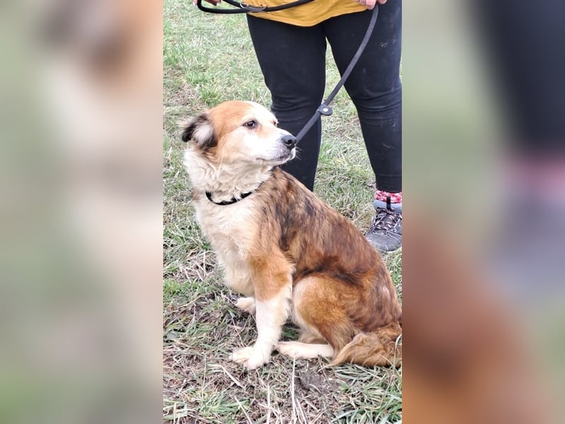 MAREN - HATTE EIN FRAUCHEN