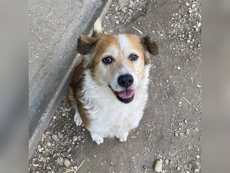 MAREN - HATTE EIN FRAUCHEN