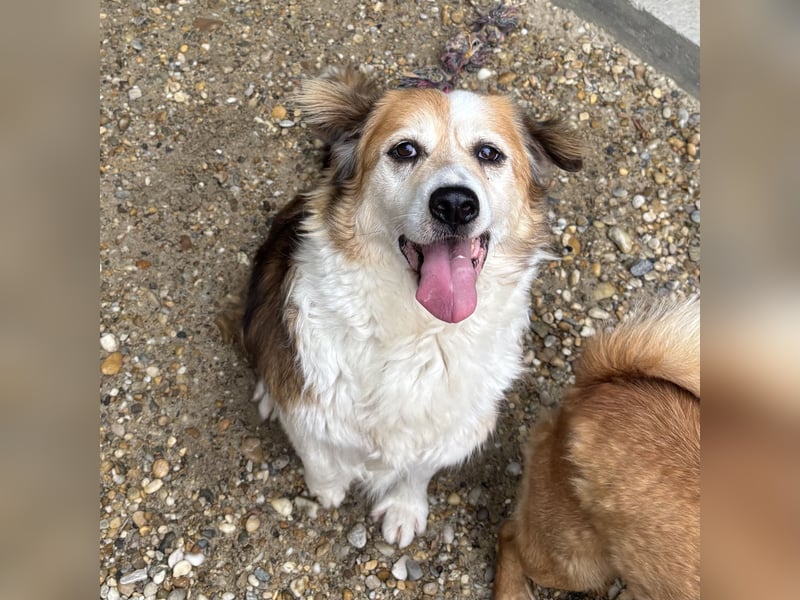 MAREN - HATTE EIN FRAUCHEN