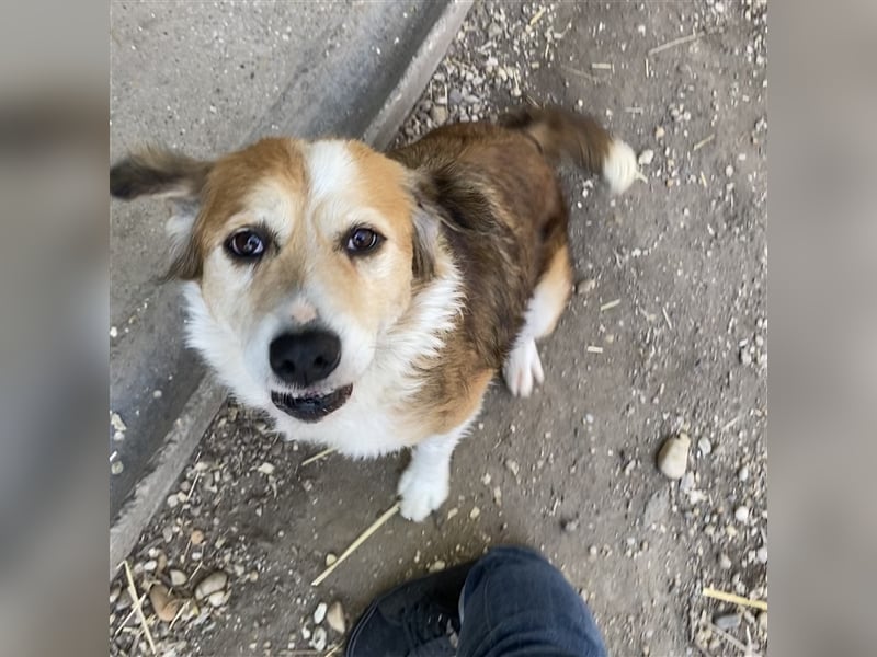 MAREN - HATTE EIN FRAUCHEN