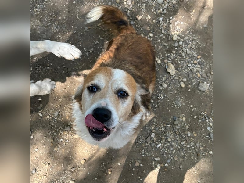 MAREN - HATTE EIN FRAUCHEN