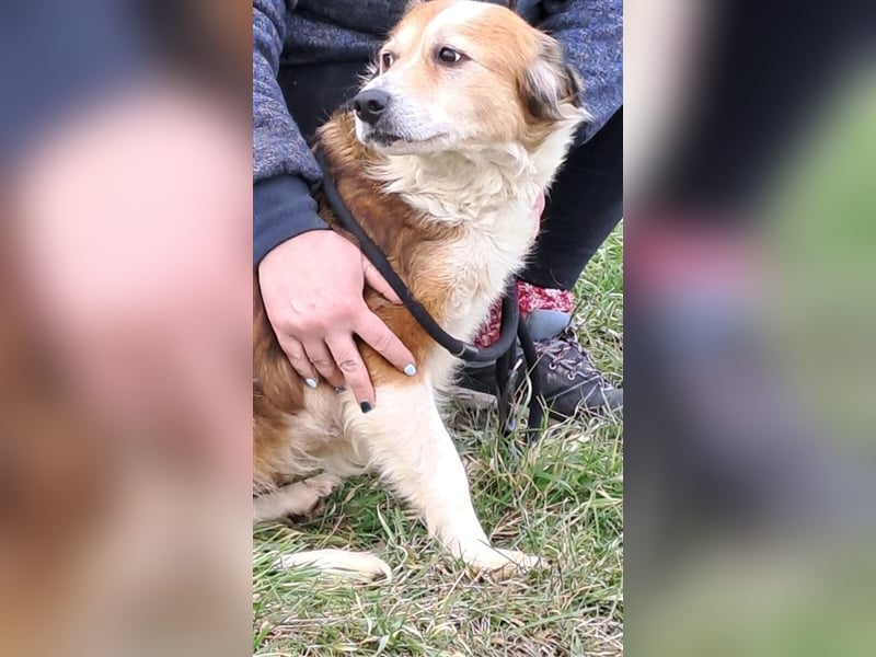 MAREN - HATTE EIN FRAUCHEN