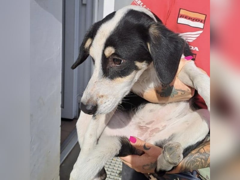 BRITA - MÖCHTE DIE WELT ERKUNDEN