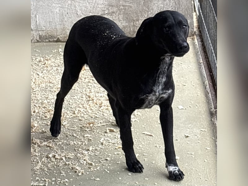 SOILA SUCHT RUHIGES ZUHAUSE