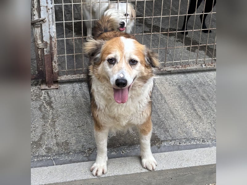 MAREN - HATTE EIN FRAUCHEN