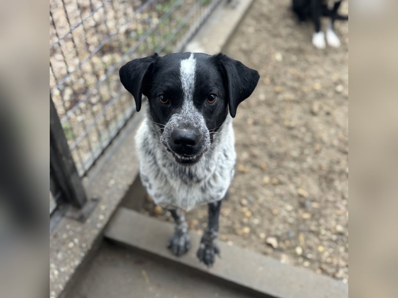 CRONIN WÜNSCHT SICH LIEBE