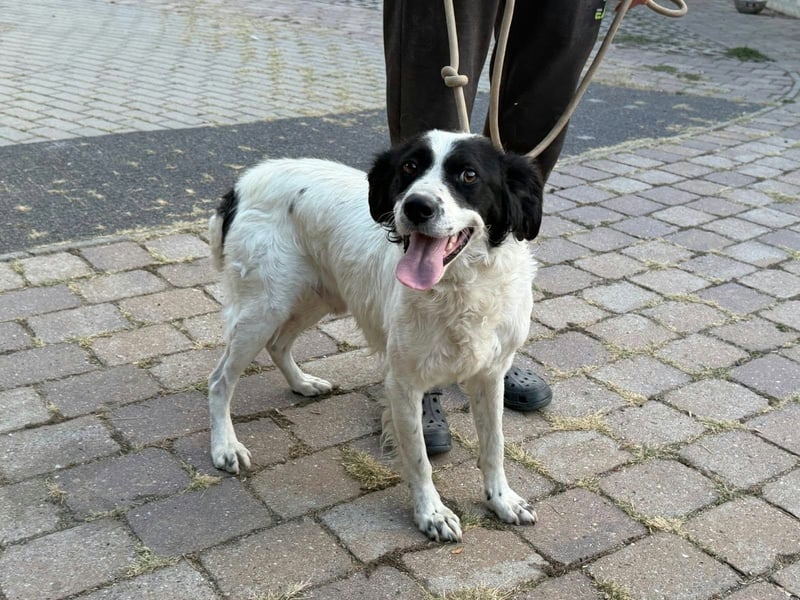 Boy, geboren 02.11.2025, 45cm sucht seine Herzensmenschen