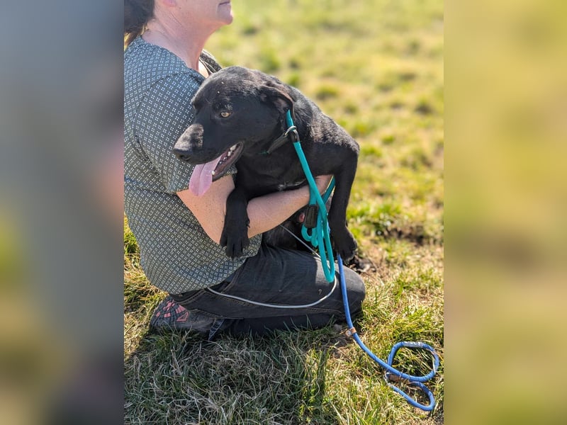 Thyson, geb. 04.2024, 50cm, sucht sein für-immer-Körbchen