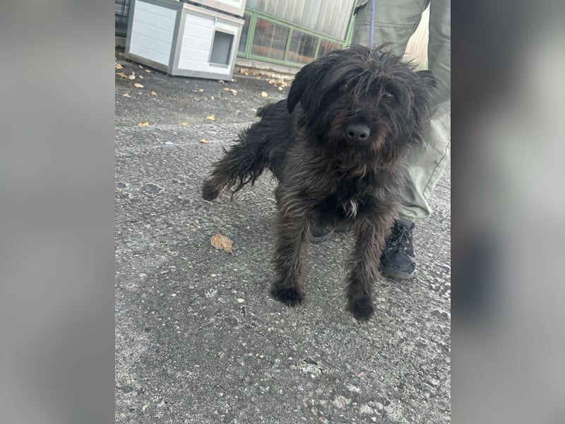 Emi, geb. 09.2018, 45cm sucht ihre Familie