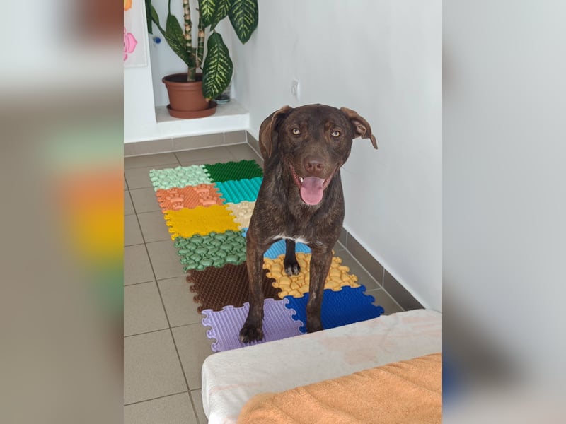 Philip, geb. 04.2025, 53cm sucht seine Menschen