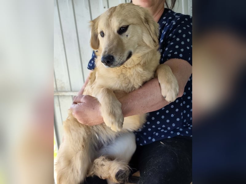 Bonita, geboren 25.08.2025, 44cm sucht tierliebe Menschen
