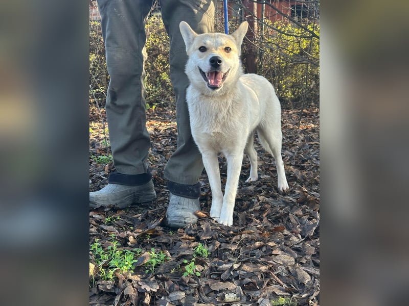 Wendy, geboren 20.11.2024, 45cm sucht ihre Menschen
