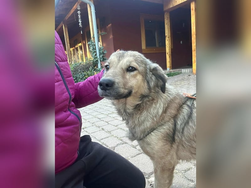 Ada, geb. 09.2022, 52 cm wartet auf ihr Glück