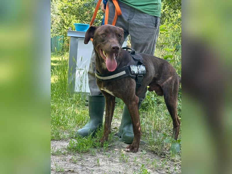 Philip, geb. 28.04.2025, 53 cm, sucht nach seinen Menschen