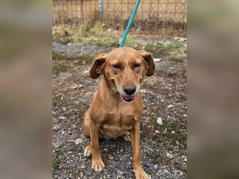 Kanya, geboren 01.01.2024, 49cm sucht ihr Zuhause