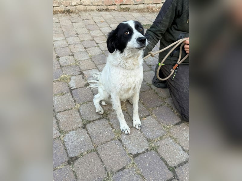 Boy, geboren 02.11.2025, 45cm sucht seine Herzensmenschen