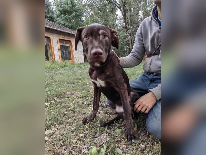 Philip, geboren 28.04.2025, 53cm sucht sein Zuhause