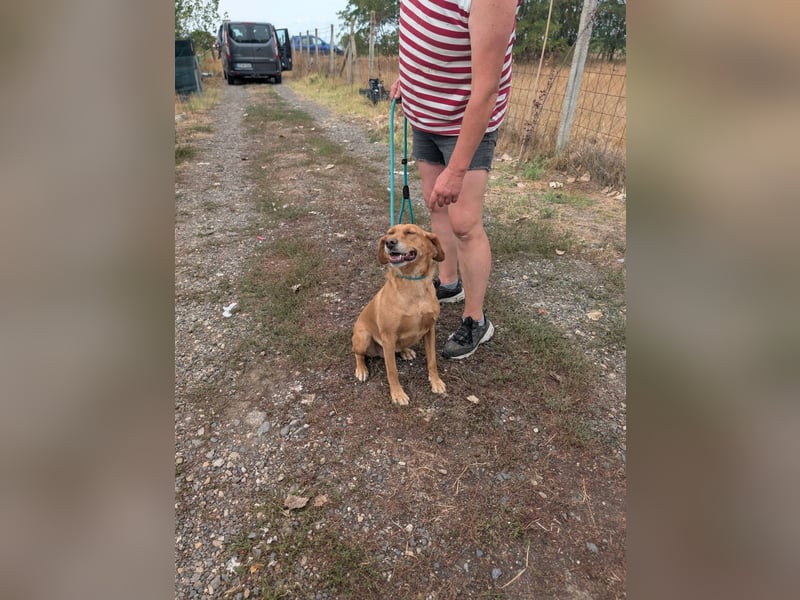 Kanya, geboren 01.01.2024, 49cm sucht ihr Zuhause