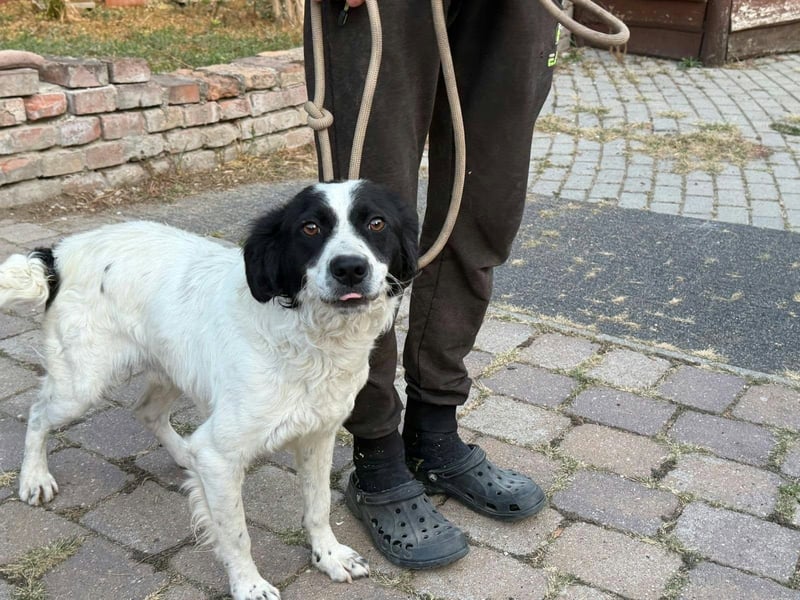 Boy, geboren 02.11.2025, 45cm sucht seine Herzensmenschen