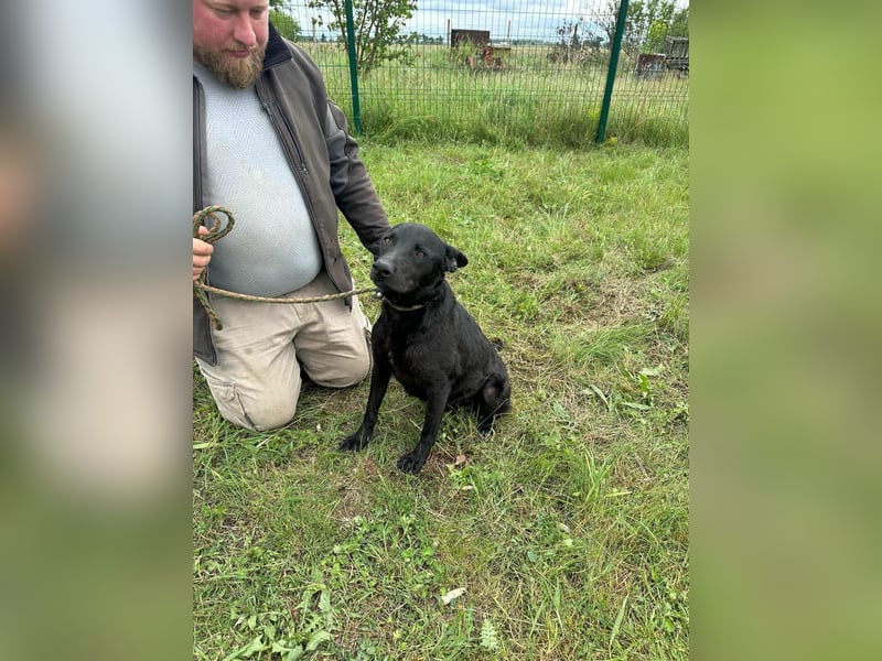 Dennis, geboren 01.06.2023, 53cm sucht nach seinem Glück