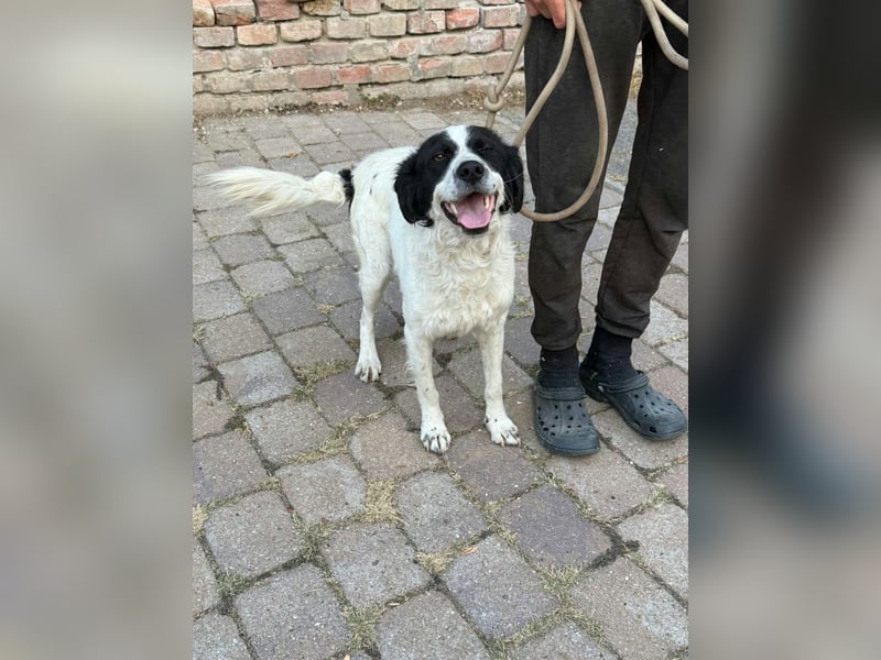 Boy, geboren 02.11.2025, 45cm sucht seine Herzensmenschen