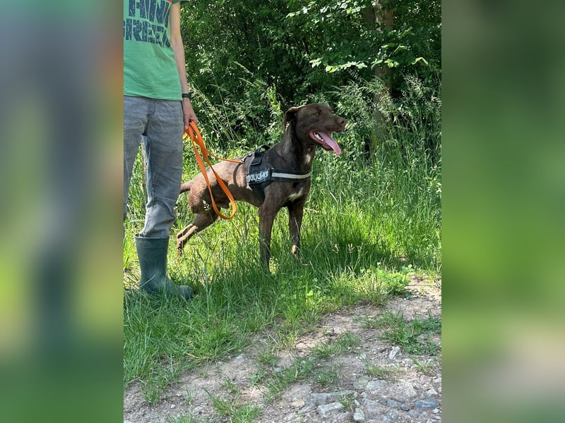 Philip, geb. 28.04.2025, 53 cm, sucht nach seinen Menschen