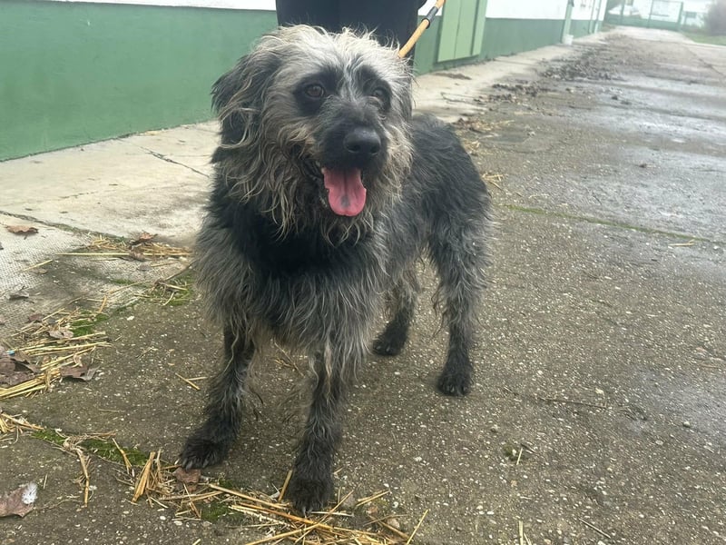 Emi – eine kleine Kuschelmaus sucht ihre Familie  Emi wurde im November 2018 geboren und ist etwa 45