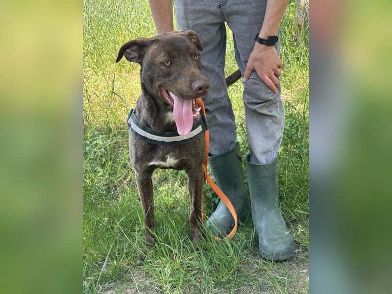 Philip, geb. 04.2025, 53cm sucht seine Menschen