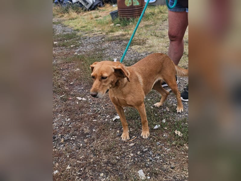 Kanya, geboren 01.01.2024, 49cm sucht ihr Zuhause