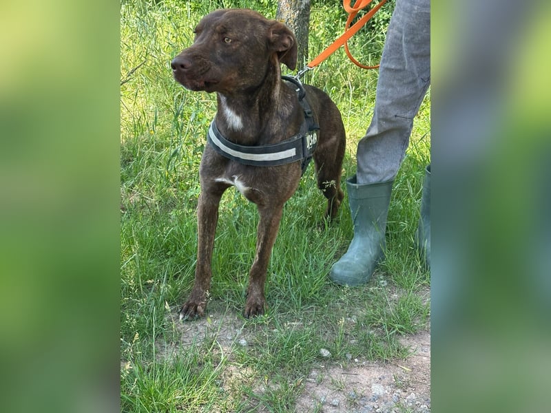 Philip, geb. 28.04.2025, 53 cm, sucht nach seinen Menschen