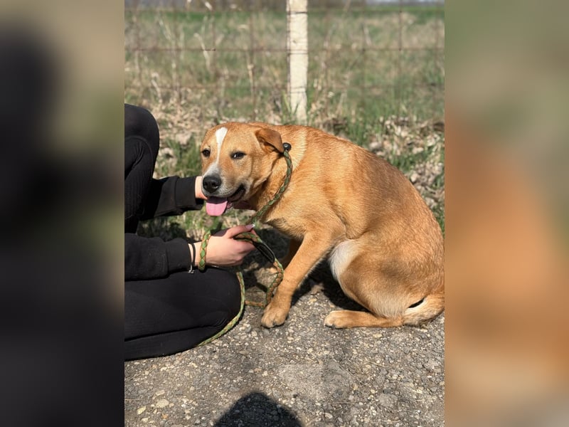 Bambusz, geboren 25.09.2025, 48cm sucht ihr Zuhause