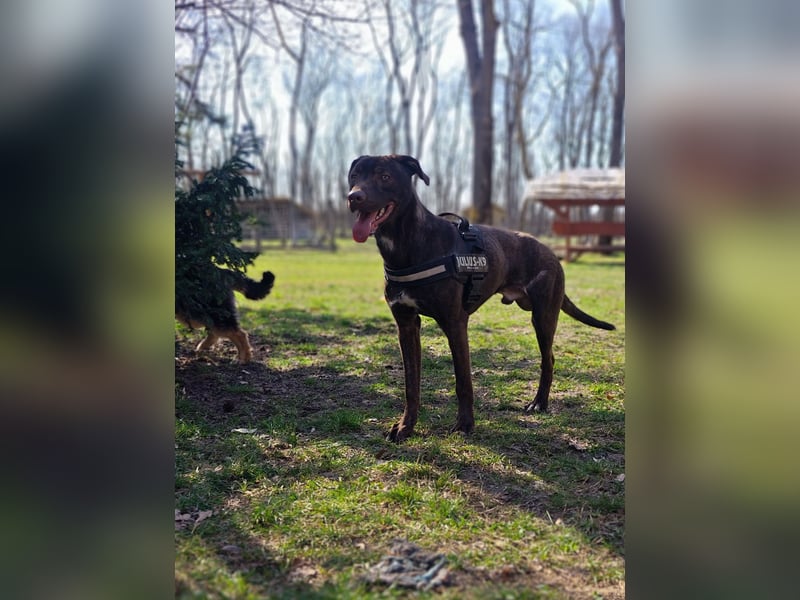 Philip, geb. 04.2025, 53cm sucht seine Menschen