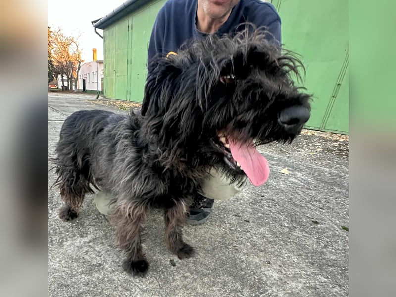 Emi, geboren 19.09.2018, 45cm sucht ihre Familie