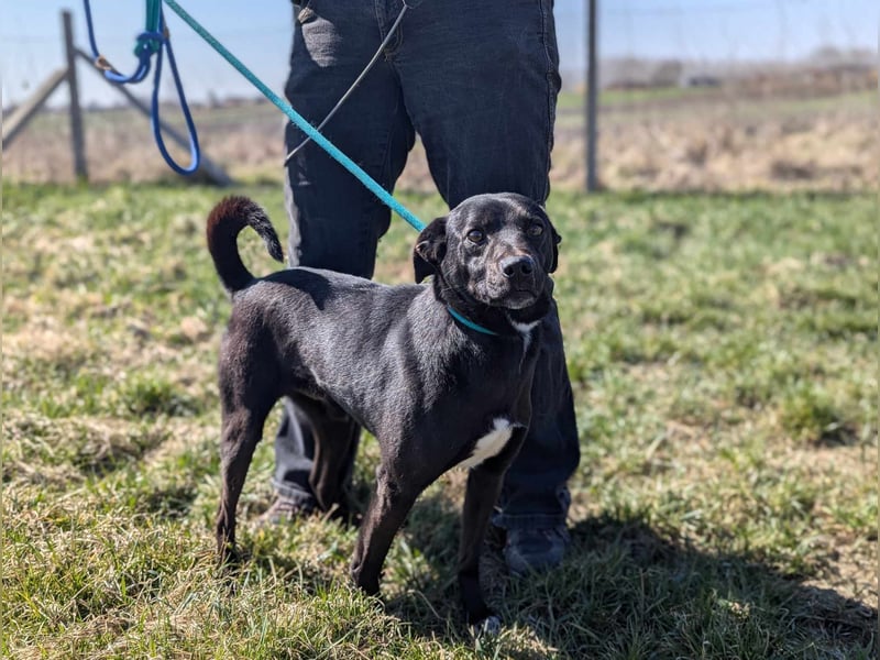 Morty, geb. 10.2020, 49cm, sucht seine Spielgefährten