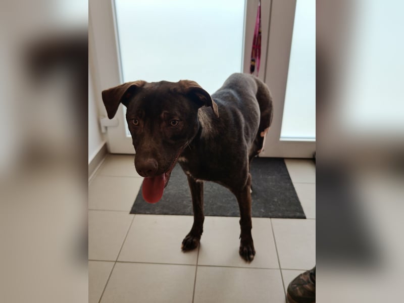 Philip, geb. 04.2025, 53cm sucht seine Menschen