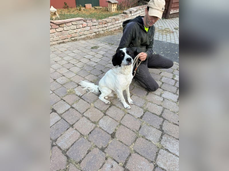Boy, geboren 02.11.2025, 45cm sucht seine Herzensmenschen