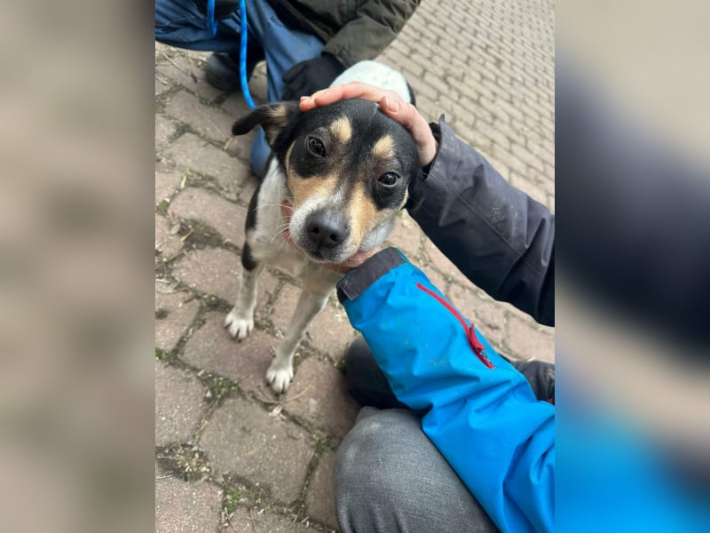 Vanda, geboren 29.01.2024, 47cm sucht ihr Glück