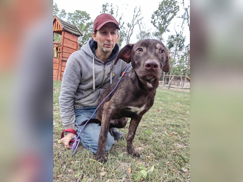 Philip, geboren 28.04.2025, 53cm sucht sein Zuhause