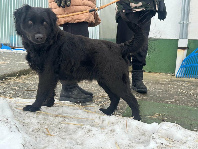 Kamilla, geb. 08.2024, 46cm sucht ihr Glück