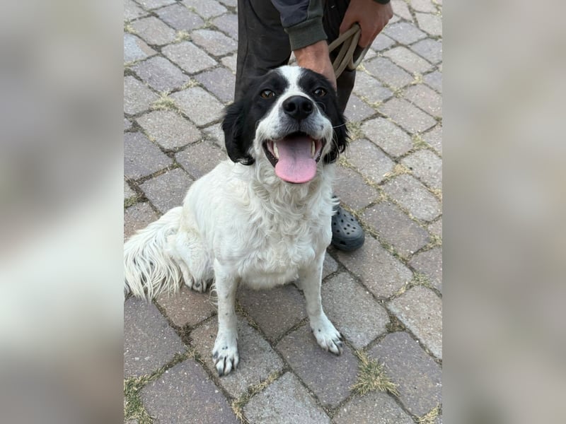 Boy, geboren 02.11.2025, 45cm sucht seine Herzensmenschen