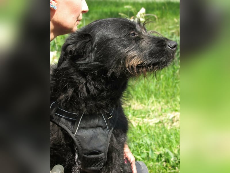 Nancy, geboren 04.2022, 47cm sucht ihr Zuhause