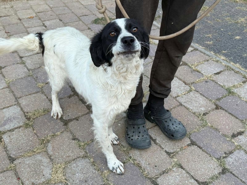 Boy, geboren 02.11.2025, 45cm sucht seine Herzensmenschen