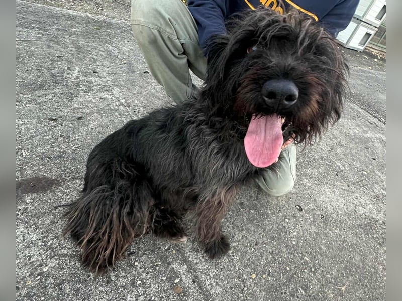 Emi, geboren 19.09.2018, 45cm sucht ihre Familie