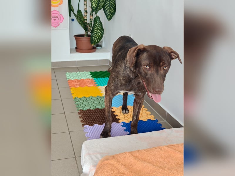 Philip, geb. 04.2025, 53cm sucht seine Menschen