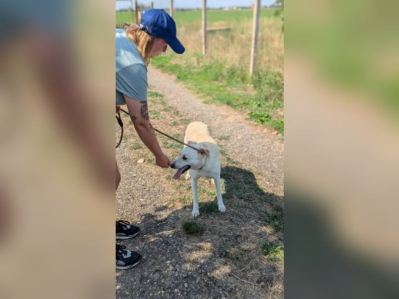 Mirko, geb. 15.10.2021, 49 cm, sucht seine Menschen