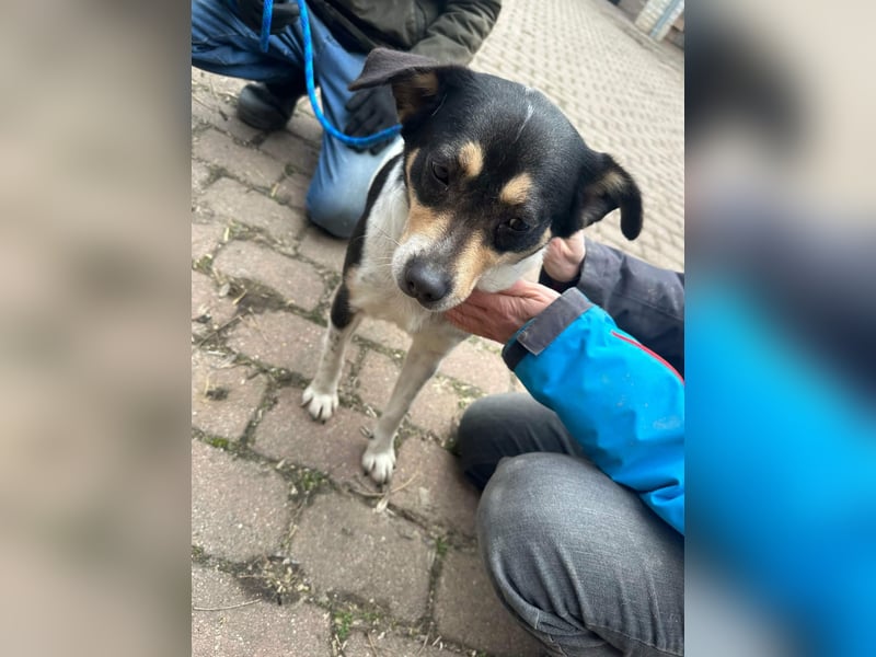 Vanda, geboren 29.01.2024, 47cm sucht ihr Glück