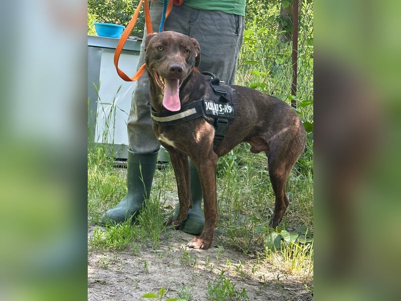 Philip, geb. 28.04.2025, 53 cm, sucht nach seinen Menschen