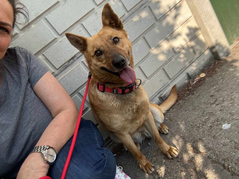 Fanny, 2 Jahre, 50cm sucht tierliebe Menschen