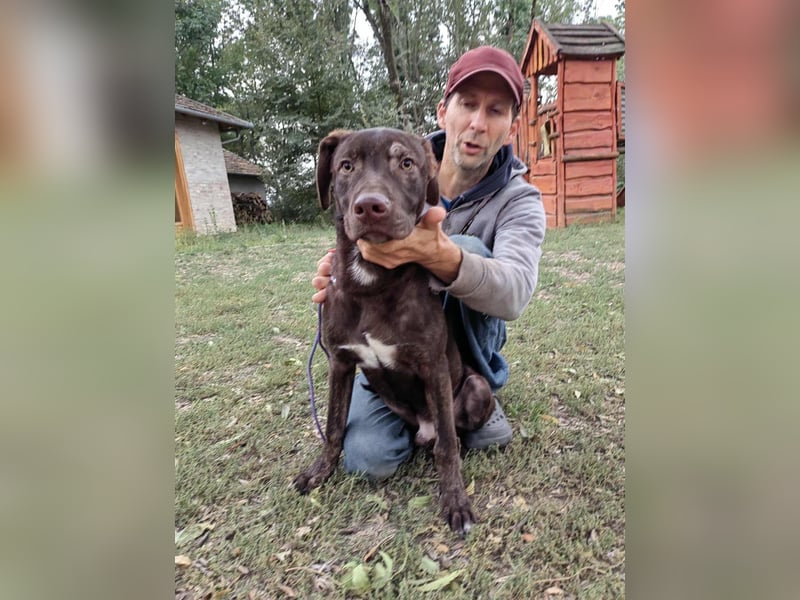 Philip, geboren 28.04.2025, 53cm sucht sein Zuhause